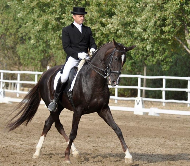 preparado para competir